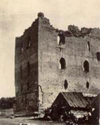 Замок в деревне Крево