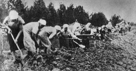 Сельскохозяйственные работы в партизанской зоне