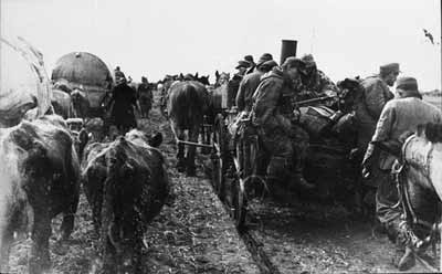 Угон скота отступающими немецкими войсками