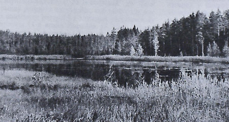 Озеро Лесное, в котором, согласно легенде, в 1812 году спрятаны сокровища, которые Наполеон Бонапарт вывозил из России