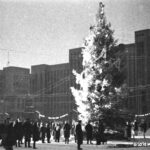 Новогодняя елка на пл. В.И. Ленина в г. Минске