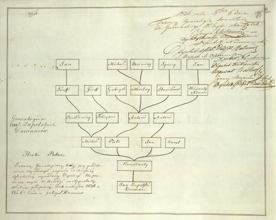 Генеалогическая таблица (древо) дворянского рода Довнар-Запольских герба «Побог (Pobog)»