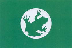 Флаг партии «Зеленые»