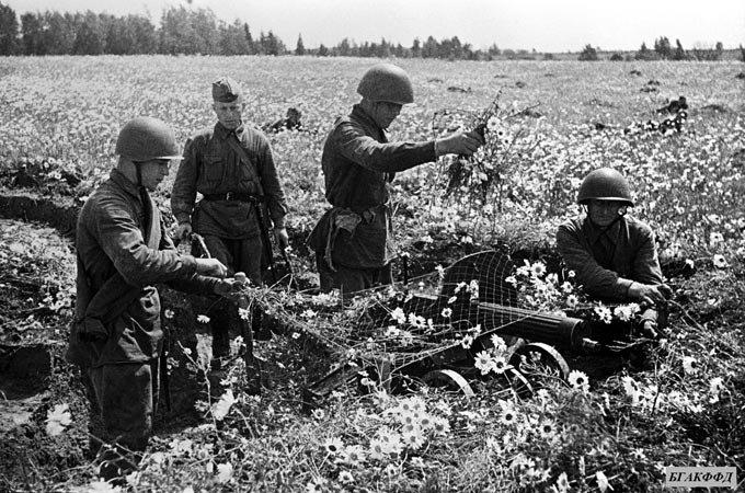 Пулеметчики 331-го стрелкового полка 100-й стрелковой дивизии Западного фронта маскируют огневую позицию перед началом боя