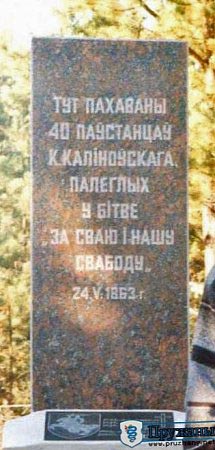 Могила участников восстания 1863-1864 гг.	д. Лососин Пружанского района