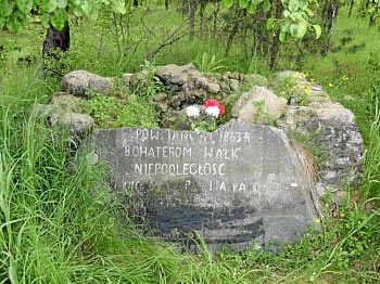 Мемориальная плита, установленная в память участников восстания 1863-1864 гг. д. Пацевичи Мостовского района