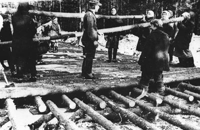Крестьяне под надзором немецких оккупантов строят дорогу через лес