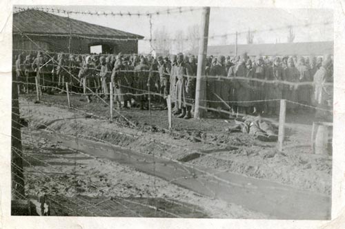 В Березинском лагере для военнопленных