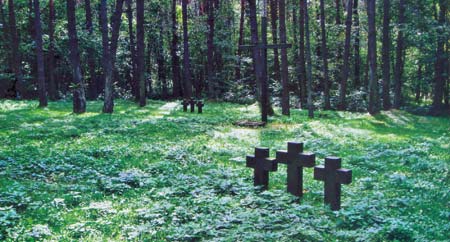 Мемориальные кресты на месте немецкого воинского захоронения
