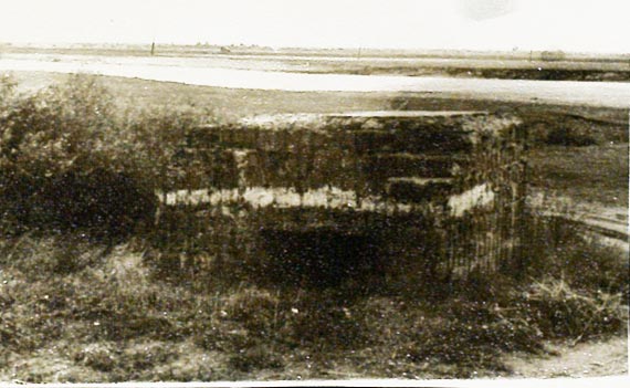 Руины военных укреплений периода Первой мировой войны у реки Припять вблизи г. Пинска
